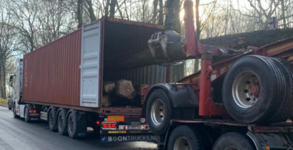 Logs and fumigation